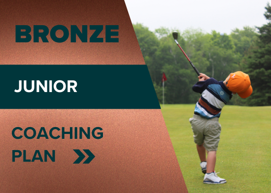 Picture of Junior Bronze Package