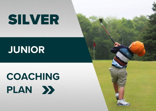 Picture of Silver Junior Package